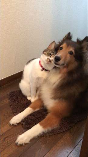 イチャイチャ