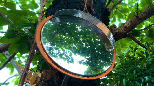 日本の四季 綺麗 写真 桜の木 カーブミラー 季節 春夏秋冬 慧人