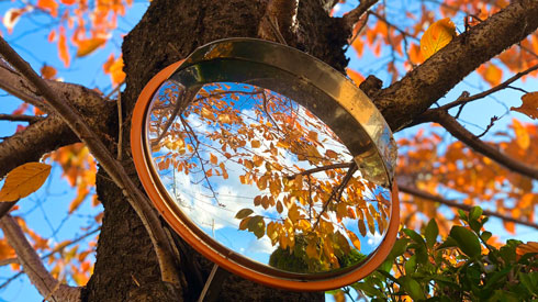 日本の四季 綺麗 写真 桜の木 カーブミラー 季節 春夏秋冬 慧人