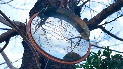 日本の四季 綺麗 写真 桜の木 カーブミラー 季節 春夏秋冬 慧人