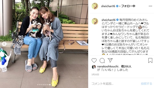 sheila シェイラ くも膜下出血 病気 モデル