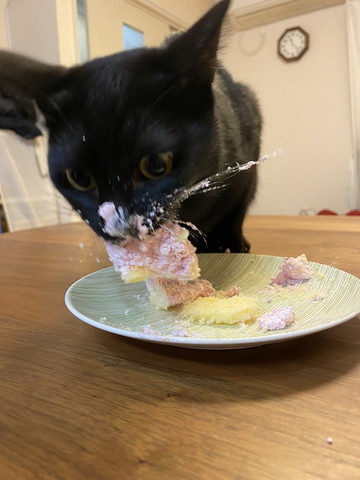 クリスマスケーキうまいにゃあああ！ そっちも食べるううう