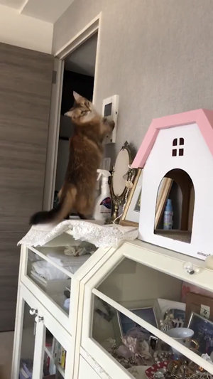 インターフォンホタテさん3