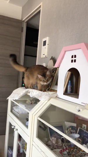 インターフォンホタテさん4