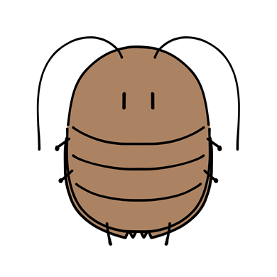 ゴキブリ