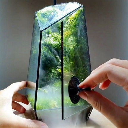 苔のテラリウム