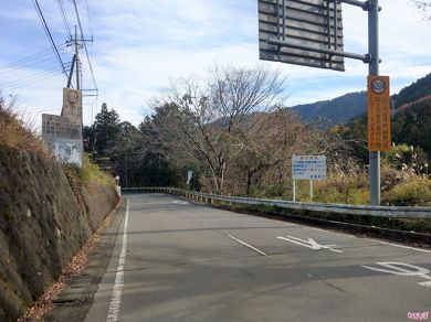 さらにそのすこし先には……