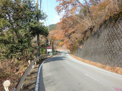 カーブの先には「ダム放流中」の表示が