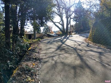 山を登り、少し下り、さらに登ります