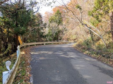 途中に唯一ある退避所