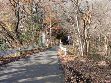 ガードレールでわざわざ狭められているのがわかるでしょうか