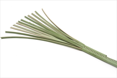 ねこじゃらすり