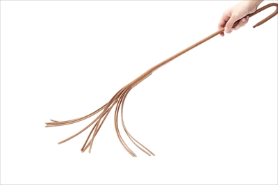 ねこじゃらすり