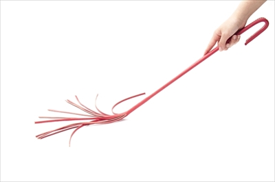 ねこじゃらすり