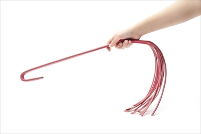 ねこじゃらすり