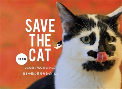 ねこじゃらすり