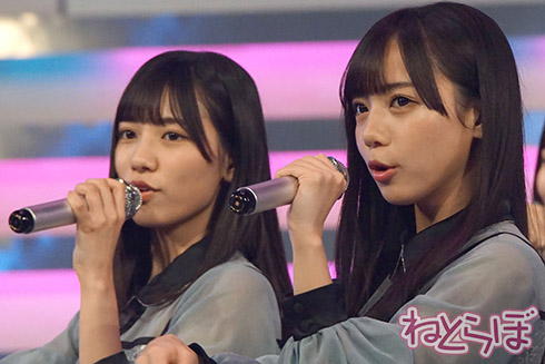 紅白 紅白歌合戦 NHK 日向坂