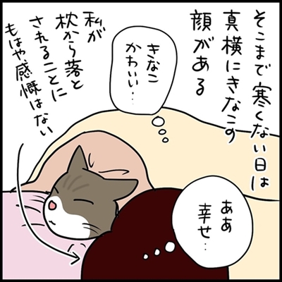 ネコ漫画