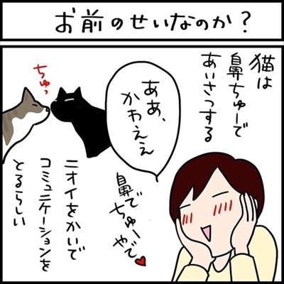 ネコ漫画