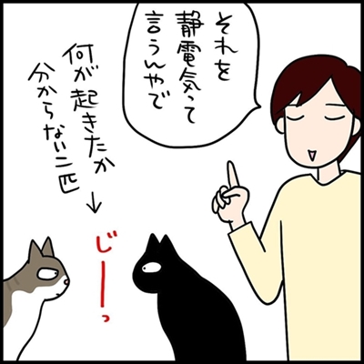 ネコ漫画
