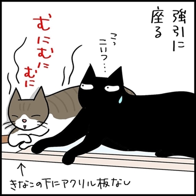 ネコ漫画