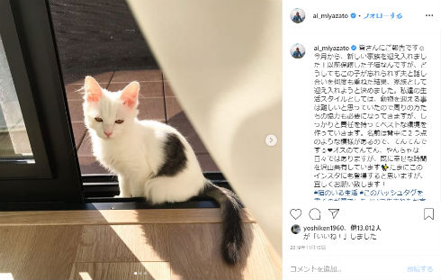 宮里藍 てんてん 座親匠 結婚 猫 インスタ