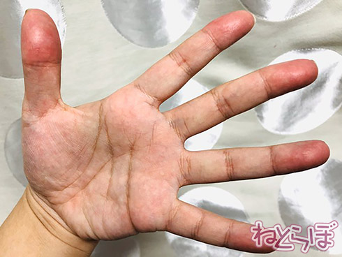 紅白 紅白歌合戦 NHK 紅白