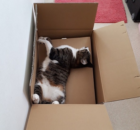 ペット手帳 ベストショット