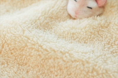 ハムスターのハンカチ