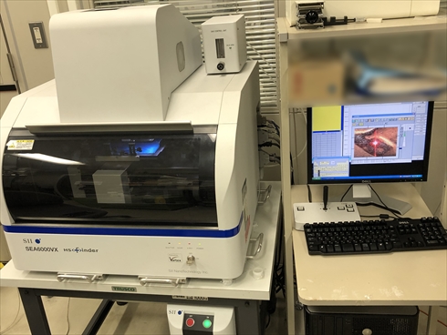 謎コイン 硬貨 造幣局