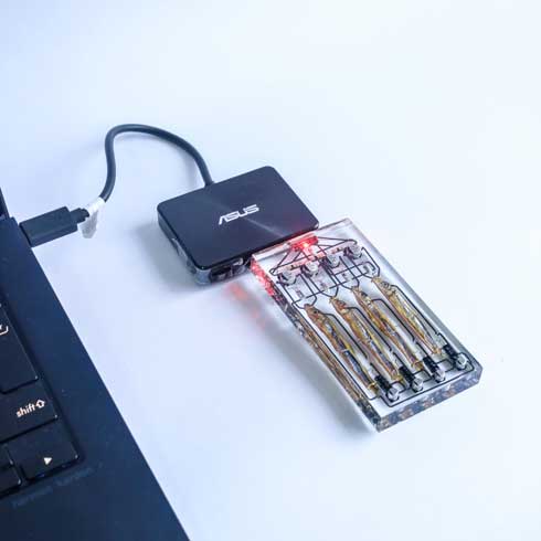 小魚 脳 4匹 接続 SF 設定 SSD型 USBメモリ ハンドメイド レジン