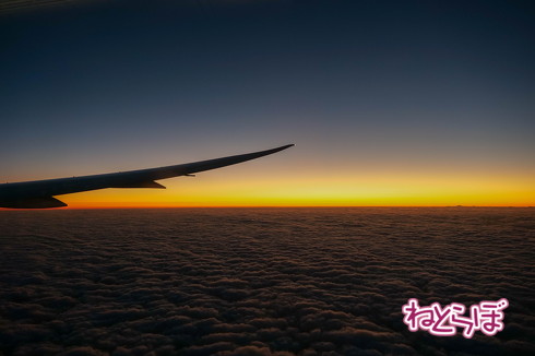 JAL 初日の出 2020