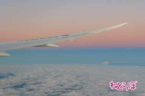 JAL 初日の出 2020