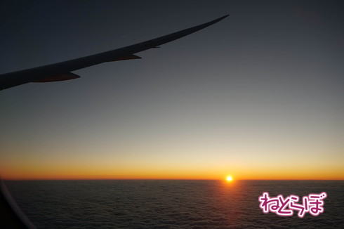 JAL 初日の出 2020