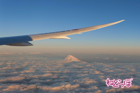 JAL 初日の出 2020