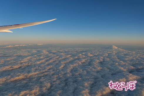 JAL 初日の出 2020