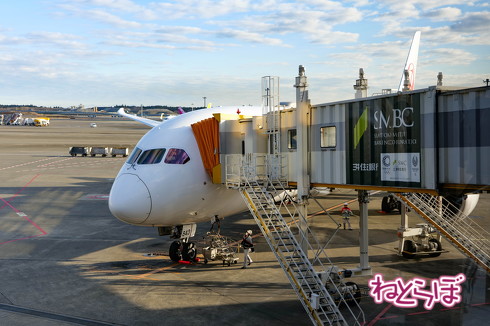 JAL 初日の出 2020