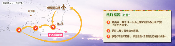 JAL 初日の出 2020