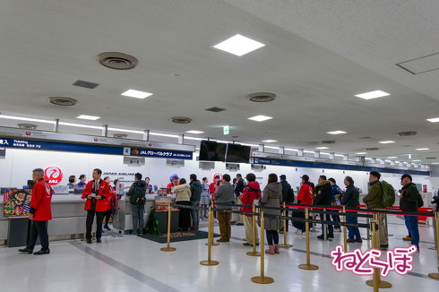 JAL 初日の出 2020