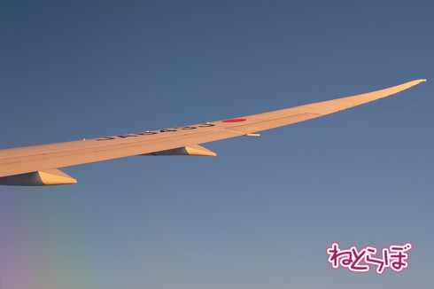 JAL 初日の出 2020