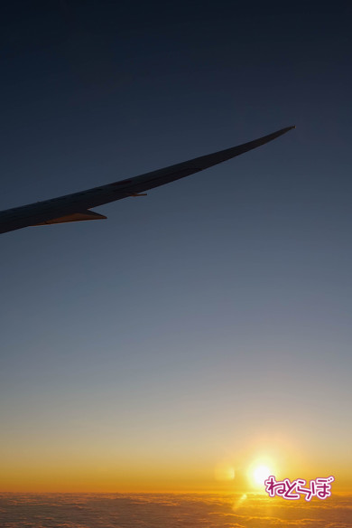 JAL 初日の出 2020