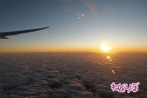 JAL 初日の出 2020