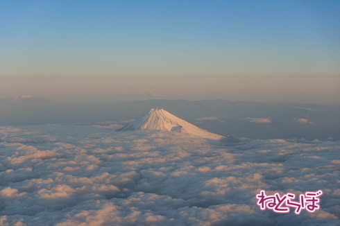 JAL 初日の出 2020