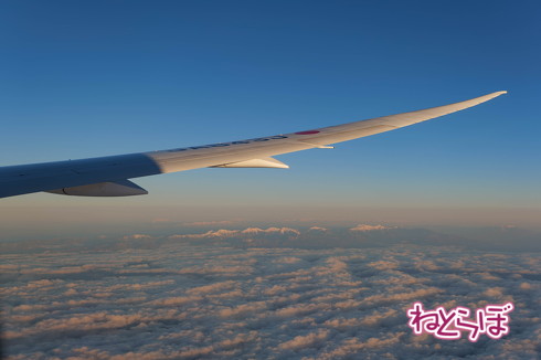 JAL 初日の出 2020