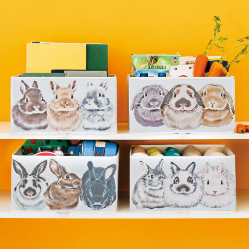 コウテイペンギン親子と暮らす収納ボックス