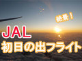 「ありがたやー」「最高でした」　年に一度の激レア飛行「JAL 2020年初日の出フライト」に乗ってみた
