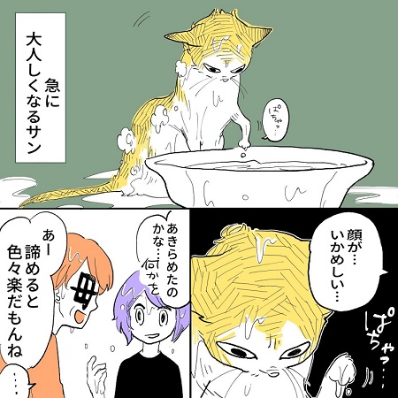 こねこのドレイ