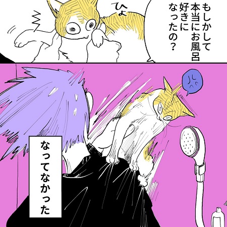 こねこのドレイ