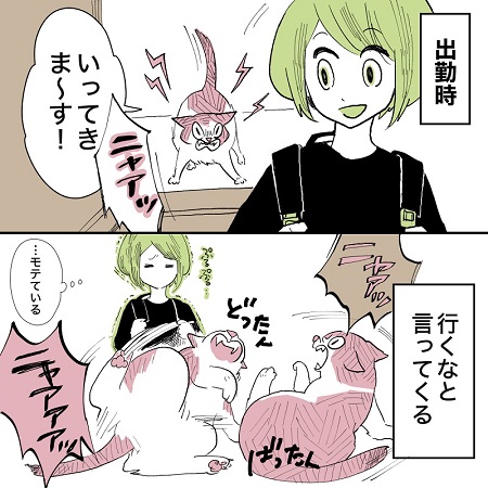 こねこのドレイ