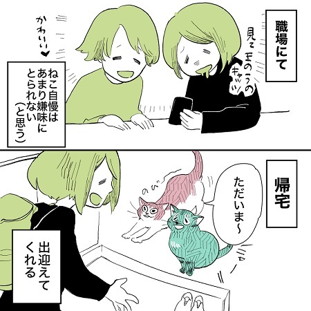 こねこのドレイ